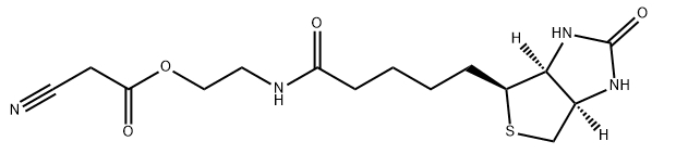 cas:1535184-53-2、生物素酰氨基乙醇氰基乙酸酯(CN-Biotin)、Biotinamidoethanol cyanoacetate(CN-Biotin）