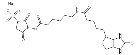 cas:191671-46-2、生物素化-epsilon-氨基己酸-N-羟基磺基丁二酰亚胺活化酯、Sulfo-NHS-LC-Biotin