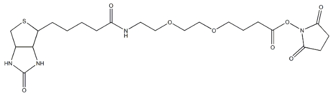 生物素-聚乙二醇-活性酯、Biotin-PEG-NHS，MW2000