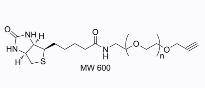 Biotin-PEG-Alk(MW 600)