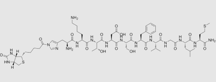 Biotin-NeurokininA