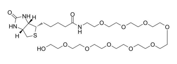 (+)-Biotin-PEG10-alcohol