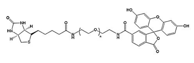 FITC-PEG-Biotin