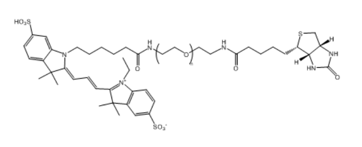 CY3-PEG-Biotin