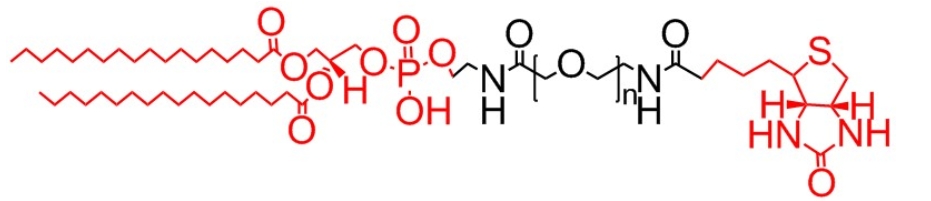 Biotin-PEG-DSPE