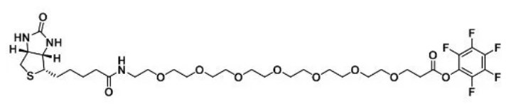 Biotin-PEG7-PFP