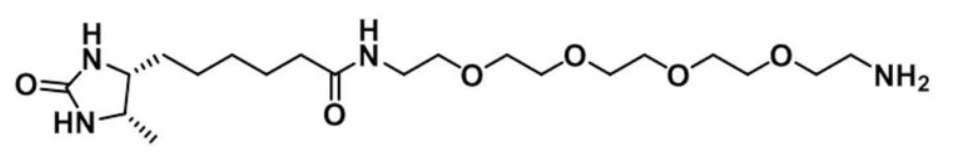 Desthiobiotin-PEG4-Amine