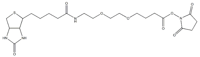 Biotin-PEG-NHS,MW2000