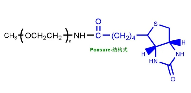 mPEG-Biotin